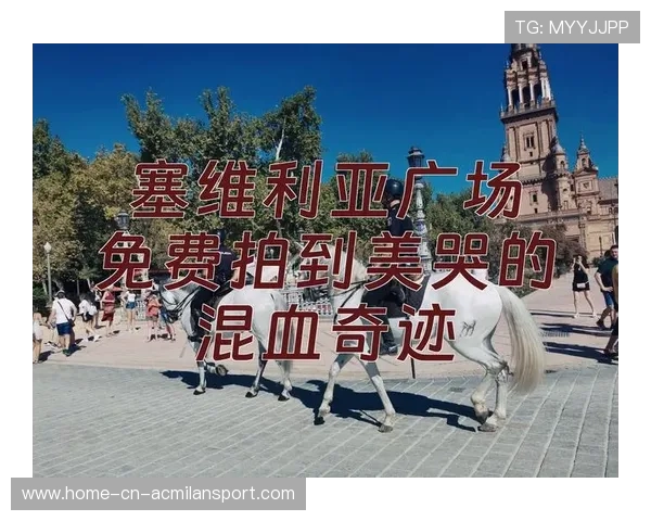 塞维利亚追逐低成本爆点：如何打造不可忽视的商业奇迹