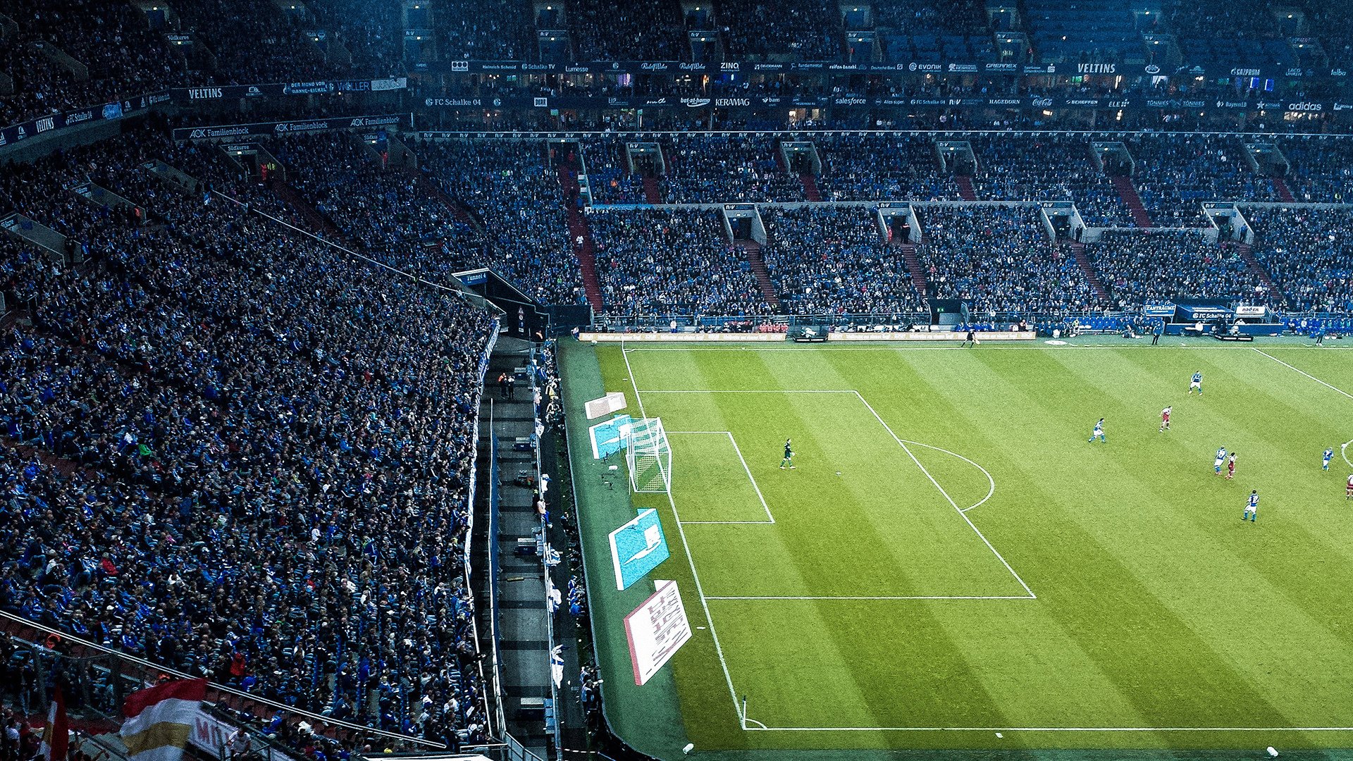 “游泳赛场聚焦!2025世界游泳锦标赛开战”