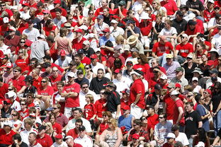 体育赛事观众行为特征与管理对策，观众对体育赛事的意义