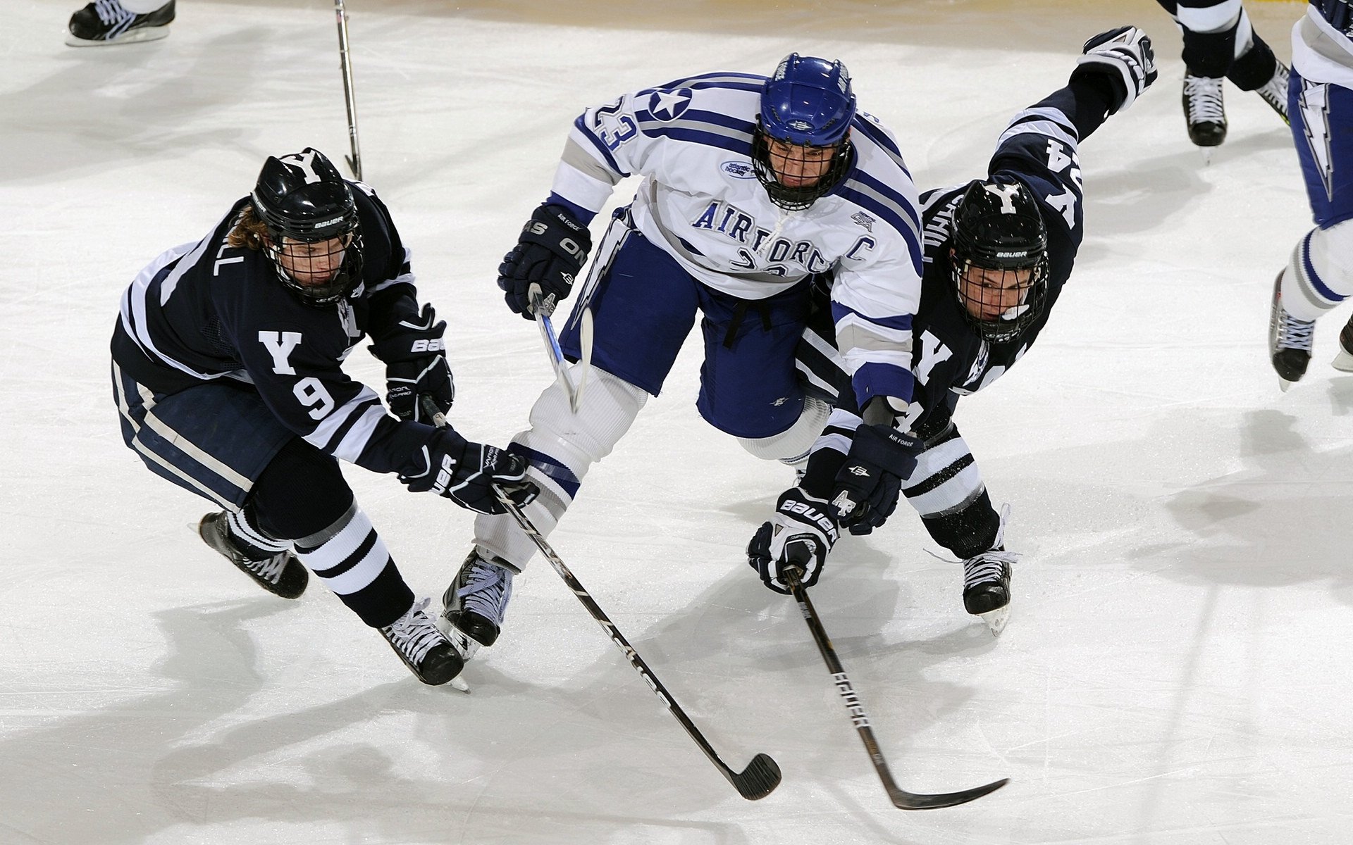 女子4×200米自由泳接力澳大利亚展现团队精神,女子4×100米自由泳接力决赛